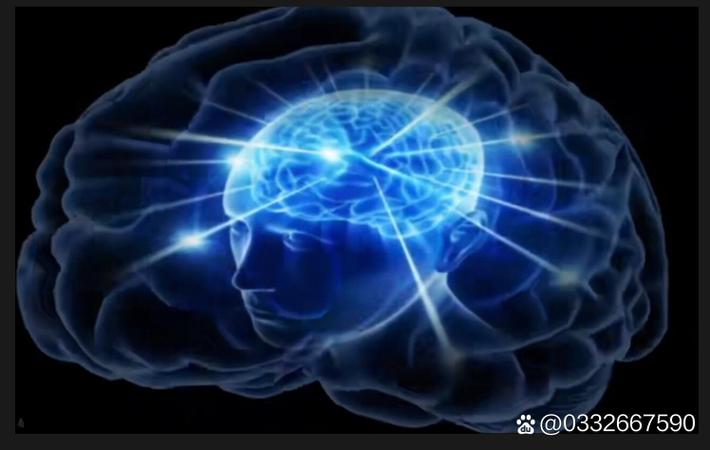 独家:某KTV夜场实为明星权色交易据点 - 吃瓜吧 独家:某KTV夜场实为明星权色交易据点